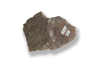 M 02347
<br/>
<br/>
<em></em>